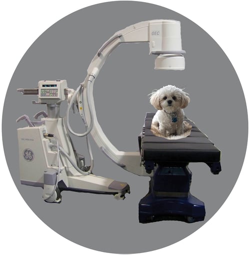 Fluoroscopy For Your Veterinary Clinic