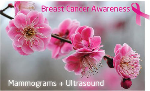 Ultrasound_Breast_Cancer-1